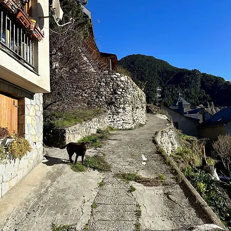 Misalas: Esqui Y Montana *