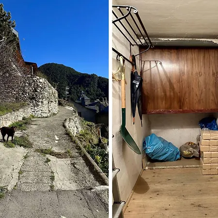 Misalas: Esqui Y Montana *