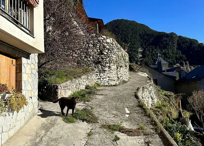 Misalas: Esqui Y Montana *