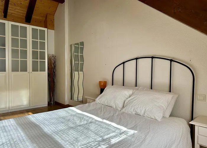 Misalas: Esqui Y Montana * サジェント・デ・ガジェゴ